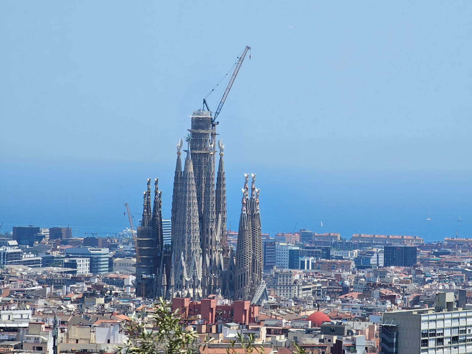 Sagrada Família rising above Barcelona's rooftops, photographed from a hillside on a clear day with the Mediterranean visible in the distance and a construction crane atop the central tower.